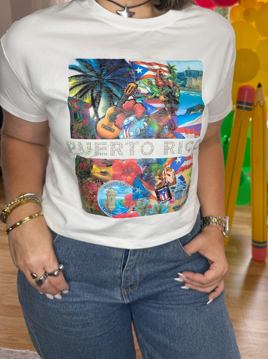Iconos de Puerto Rico T-Shirt