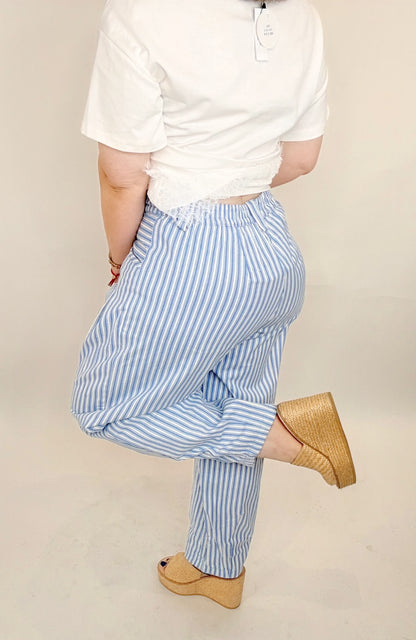 Ela Striped Barrel Denim Pants