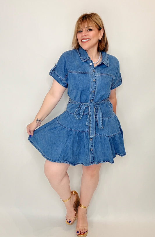 Denim Muse Dress