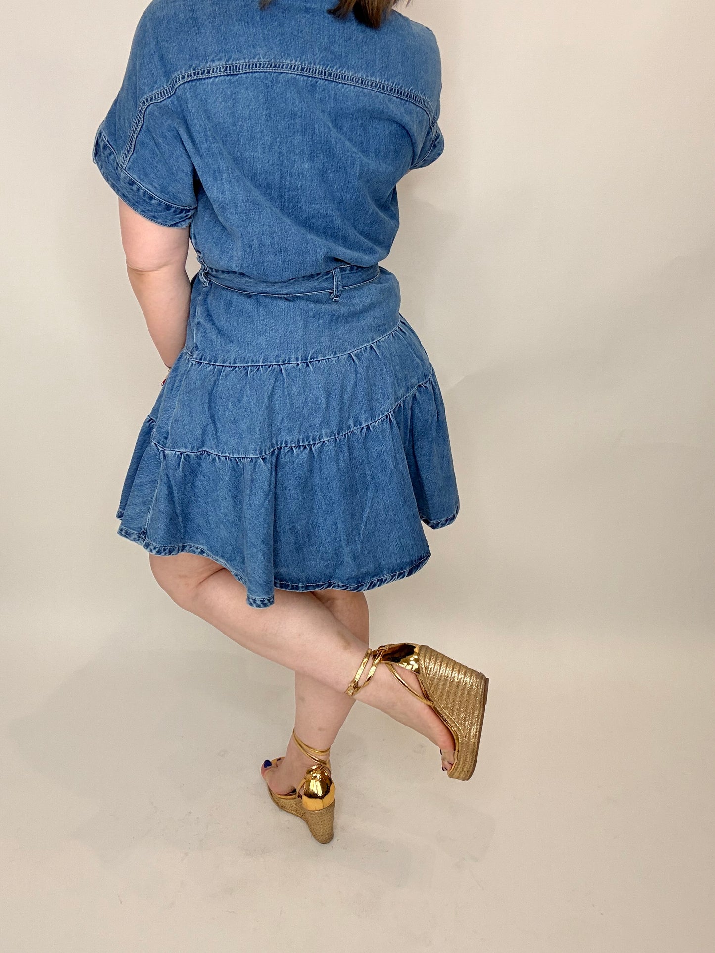 Denim Muse Dress